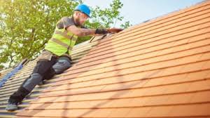 Best Steel Roofing  in Warm Springs, CA