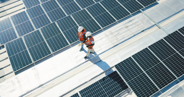 Best Roof Moss and Algae Removal  in Warm Springs, CA